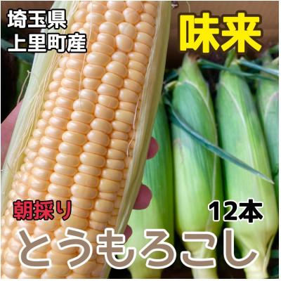 ふるさと納税 上里町 とうもろこし[味来]2L 12本 [先行受付2024年夏発送]