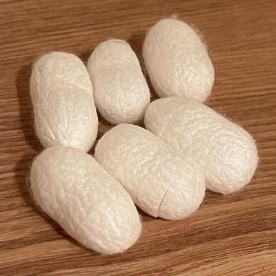 ふるさと納税 美馬市 【まゆ玉】洗顔ケア・シルク化粧品が作れます