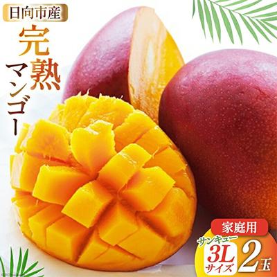ふるさと納税 日向市 [2026年発送]「生産者応援・数量限定」 訳あり 宮崎 完熟 マンゴー 家庭用 3L 2玉
