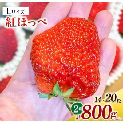 ふるさと納税 西尾市 Lサイズいちご(紅ほっぺ) 400g以上(7〜10粒)×2箱・O041-22