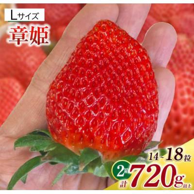 ふるさと納税 西尾市 Lサイズいちご(章姫) 360g以上(7〜9粒)×2箱 ・O044-21