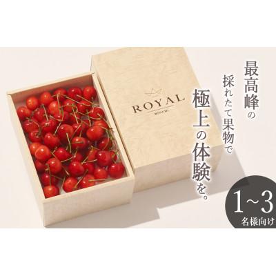 ふるさと納税 南アルプス市 <2026年先行受付>南アルプス市産 さくらんぼ「MIX」L,2Lサイズ BOX 250g