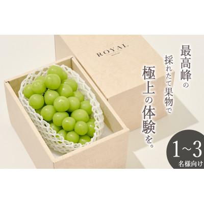 ふるさと納税 南アルプス市 &lt;2026年先行受付&gt;南アルプス市産 大粒シャインマスカット 1房(約700g)