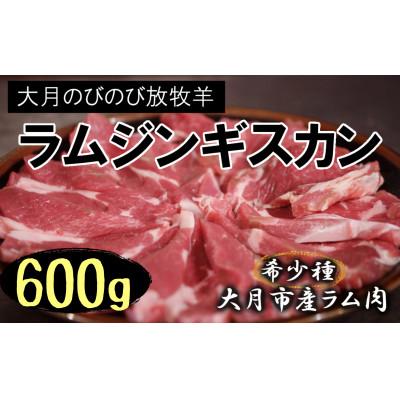 ふるさと納税 大月市 [大月のびの放牧羊]ラム肉ジンギスカン 600g(200g×3パック)