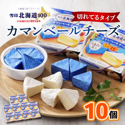 ふるさと納税 大樹町 雪印北海道 カマンベールチーズ 切れてるタイプ 1箱(90g(6個入り)×10個)