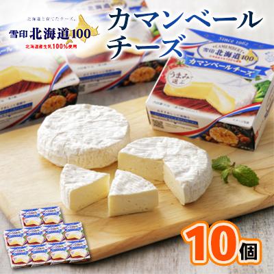 ふるさと納税 大樹町 雪印北海道 カマンベールチーズ 1箱(90g×10個入り)