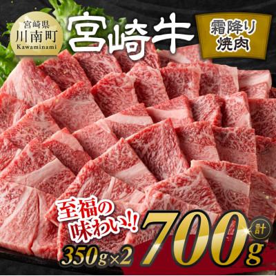 ふるさと納税 川南町 宮崎牛霜降り焼肉700g(350g×2)