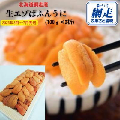 ふるさと納税 網走市 [2024年3〜7月発送]網走産 生エゾばふんうに 冷蔵100g×2パック(板折)[期間限定]