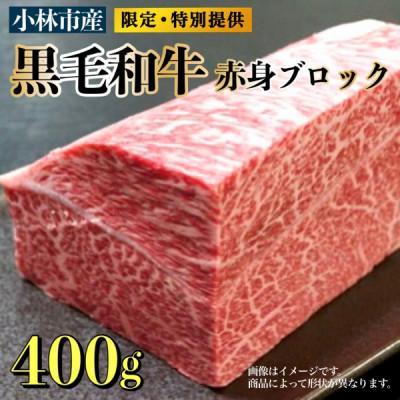 ふるさと納税 小林市 [生産直売]小林市産黒毛和牛赤身ブロック