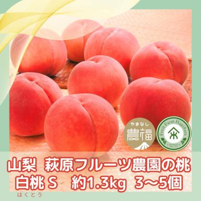 ふるさと納税 山梨市 [2026年先行予約]山梨・萩原フルーツ農園の白桃 S (約1.3kg/3〜5個)