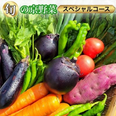 ふるさと納税 亀岡市 旬の京野菜 スペシャルコース