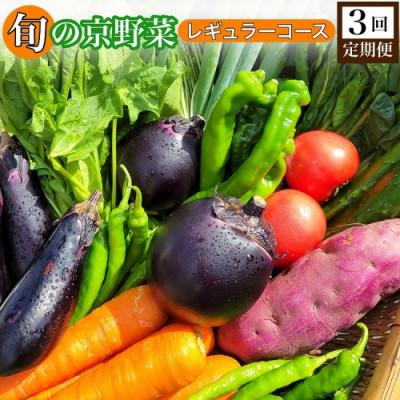 ふるさと納税 亀岡市 [3回定期便]旬の京野菜 毎月お届けレギュラーコース(全3回)
