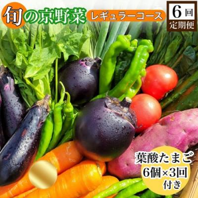 ふるさと納税 亀岡市 [6回定期便]旬の京野菜 毎月お届けレギュラーコース(全6回)&amp; 葉酸たまご6個入り