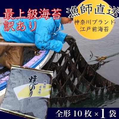 ふるさと納税 横須賀市 [訳あり]焼き海苔1袋(全形10枚) 漁師直送 上等級