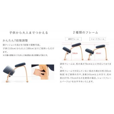 ふるさと納税 美濃市 バランス イージー 通常フレーム バランスチェア