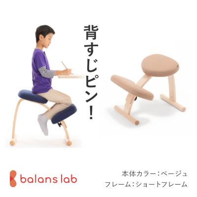 ふるさと納税 美濃市 バランス イージー ショートフレーム バランス