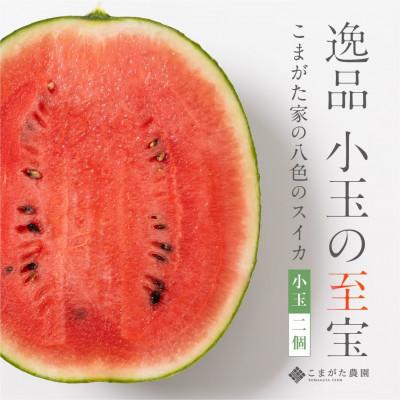 ふるさと納税 南魚沼市 [2024年7月中旬発送予定]高級南魚沼八色産スイカ「こまがた家の八色のスイカ」小玉2個