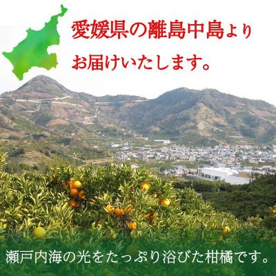 ふるさと納税 松山市 「秀品」カラマンダリン 5kg