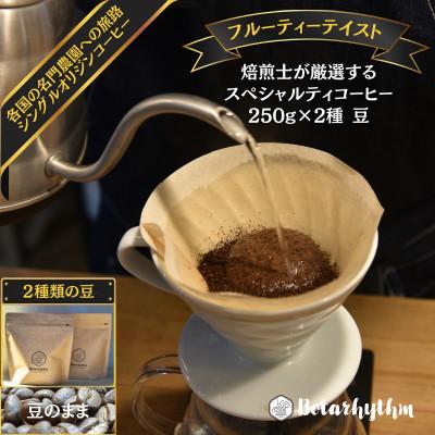 ふるさと納税 南房総市 スペシャルティコーヒー[フルーティーテイスト] 250g×2種類[豆] mi0043-0010-1