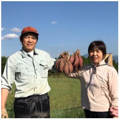 ふるさと納税 小国町 【阿蘇小国産】さつまいも(シルクスィート)のマッシュ300g×5(計1.5kg)の画像