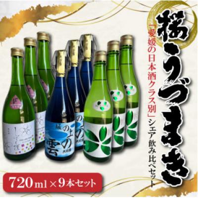 ふるさと納税 松山市 愛媛の日本酒クラス別・シェア飲み比べセット