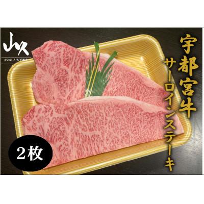 ふるさと納税 宇都宮市 宇都宮牛サーロインステーキ 計2枚