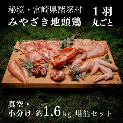 ふるさと納税 諸塚村 [宮崎県 諸塚村]みやざき地頭鶏1羽をまるごと堪能セット