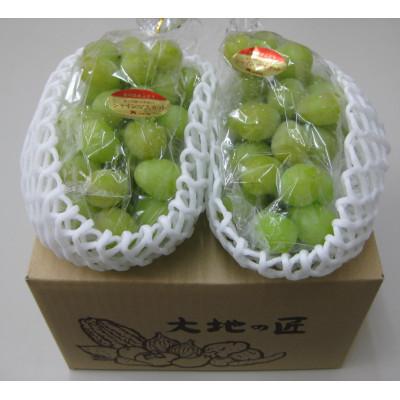 ふるさと納税 坂出市 ご家庭用シャインマスカット 2房入り