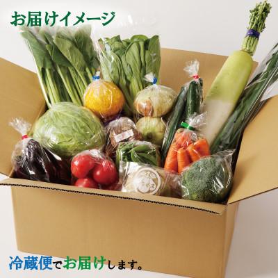 ふるさと納税 泉佐野市 新鮮 野菜セット 詰め合わせ 10種類 国産 旬 お試し おまかせ お楽しみ 099H2491｜y-sf｜02