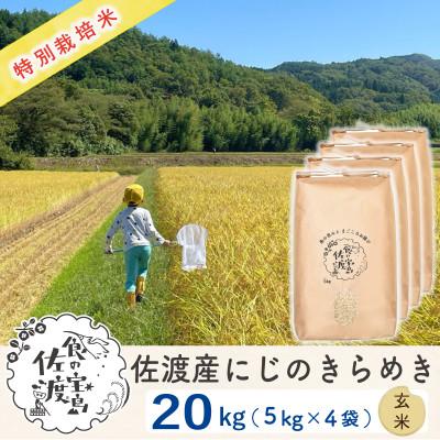 ふるさと納税 佐渡市 [令和5年産]佐渡島産にじのきらめき 玄米20Kg(5Kg×4袋) 特別栽培米