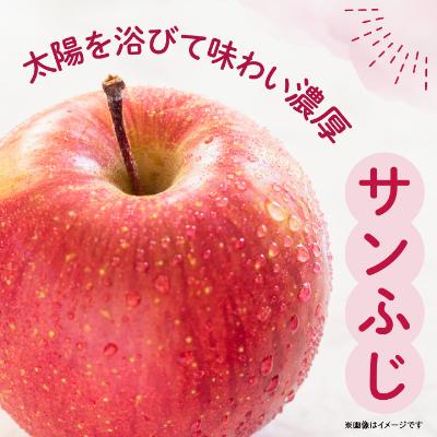 ふるさと納税 中野市 JA中野市の産直りんご「サンふじ」ご家庭用 10kg以上(28〜36玉入)｜y-sf｜02