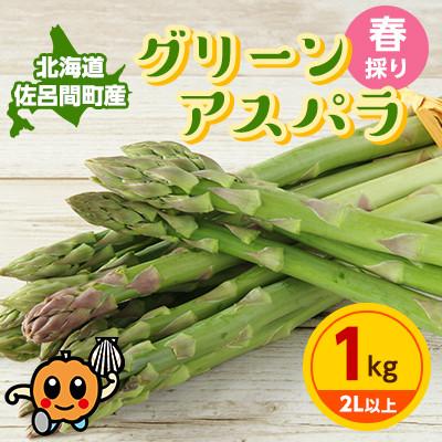 ふるさと納税 佐呂間町 [先行受付]春採りグリーンアスパラ 1kg 2L以上 佐呂間町産[2024年4月から順次発送]