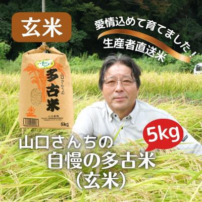 ふるさと納税 多古町 山口さんちの[令和5年産]多古米コシヒカリ(玄米)5kg