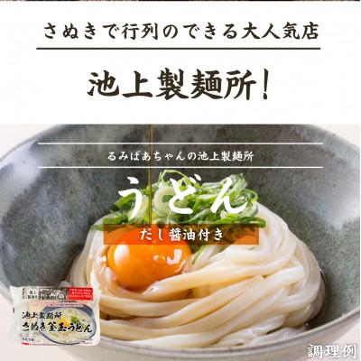 ふるさと納税 坂出市 讃岐生うどん12食入(1袋3食入×4袋)