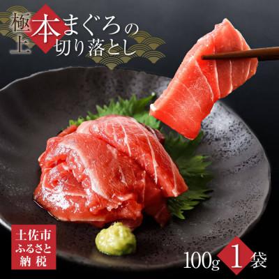 ふるさと納税 土佐市 訳あり本鮪 端材切り落し 100g[No.5635449]