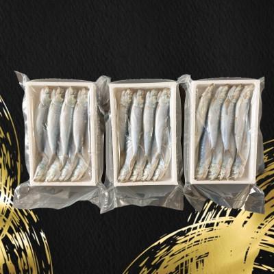 ふるさと納税 南知多町 いわし丸干し 24尾(8尾×3パック) 冷凍 小分け