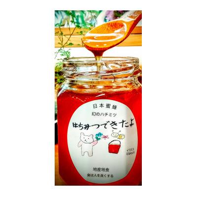 ふるさと納税 丹波篠山市 日本蜜蜂の非加熱、天然生ハチミツ