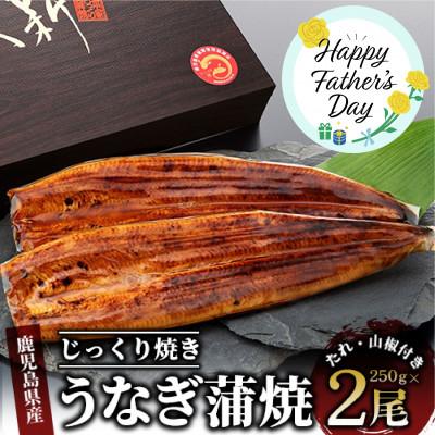 ふるさと納税 指宿市 [父の日ギフト]鹿児島県産うなぎ蒲焼じっくり焼き約250g×2尾木目化粧箱入り(020-1107f)