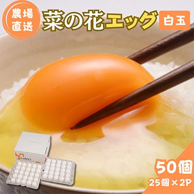 ふるさと納税 君津市 菜の花エッグ 白玉 50個 (25個入り×2パック)