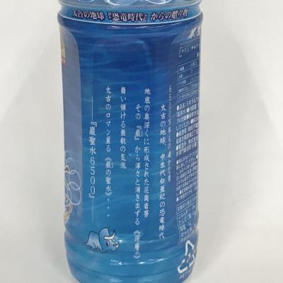 ふるさと納税 西宮市 ミネラルウォーター巌聖水6500(がんせいすい6500) (500ml×24本入り)の画像