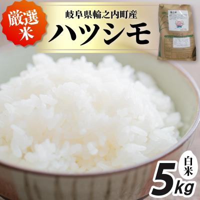 ふるさと納税 輪之内町 輪之内町産 厳選米ハツシモ 白米5kg : さとふる