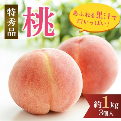 ふるさと納税 紀の川市 先行受付! 桃(特秀品)食べきりやすい3個入り