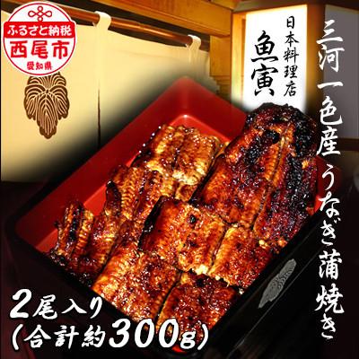 ふるさと納税 西尾市 三河一色産 うなぎ手焼き[蒲焼パック2尾(150g〜180g/尾)]・U033-25