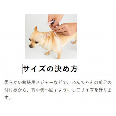 ふるさと納税 八潮市 メガネハーネス【Mサイズ 】ホワイト ゴールド金具 kazama standardの画像