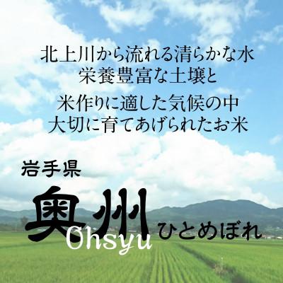 ふるさと納税 奥州市 奥州市産ひとめぼれ無洗米5kg×4袋 計20kg  [BC002]の画像