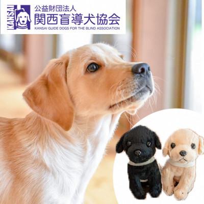 ふるさと納税 亀岡市 盲導犬訓練 支援寄付[盲導犬協会オリジナルグッズ]ぬいぐるみ、タオルなど7点