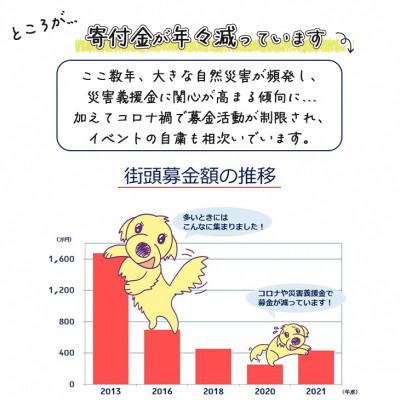 ふるさと納税 亀岡市 盲導犬訓練 支援寄付[盲導犬協会オリジナルグッズ]ぬいぐるみ、タオルなど7点｜y-sf｜03