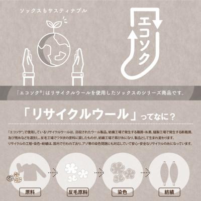 ふるさと納税 葛城市 エコソク ハイソックス 2足組 (ほっこりカラー) レディース 靴下 ウール｜y-sf｜02