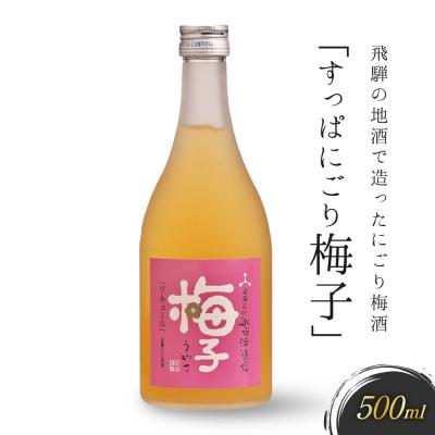 ふるさと納税 高山市 飛騨の地酒で造ったにごり梅酒「すっぱにごり梅子」