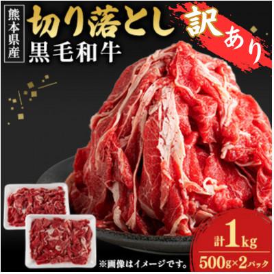 ふるさと納税 菊池市 [熊本県産][訳あり]黒毛和牛切り落とし計1kg(500g×2パック)